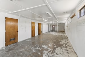 31667753