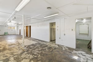 31667754