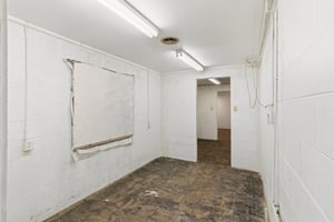31667751