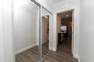 32705904