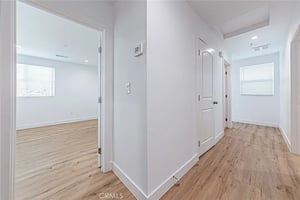 31625844