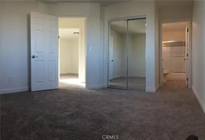 31590767
