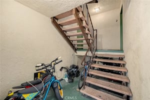 31591042