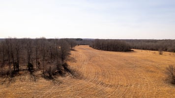 31591814