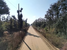 31594080