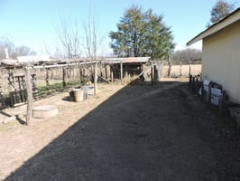 31598759