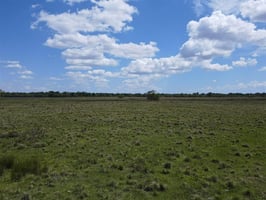 31596051