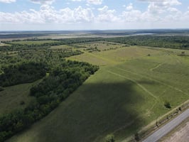 31596036