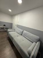 32047409