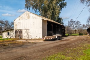 31597631