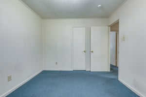 31598835