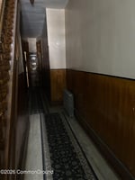 31599381