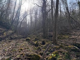31602777