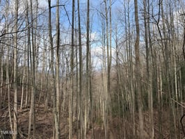31602778