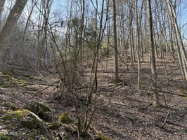 31602775