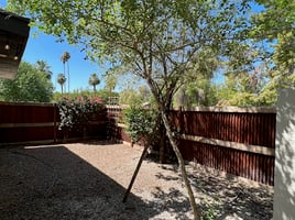 31603282