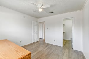 31603567