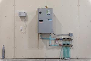 31603981