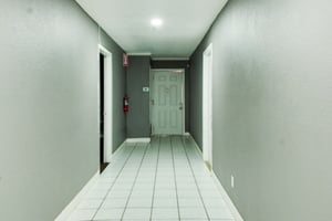 31604317