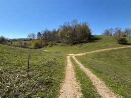 31604333