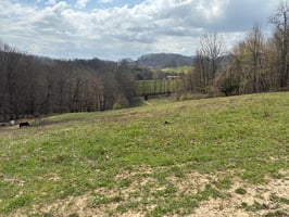 31604341