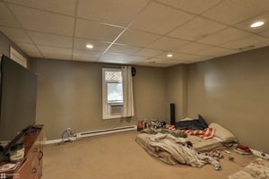 31605081