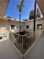 31605465