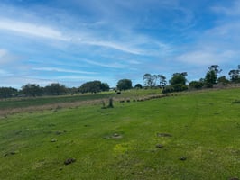 31605772