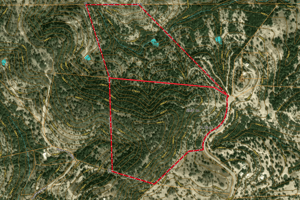 31606845