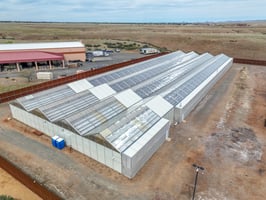 31607799