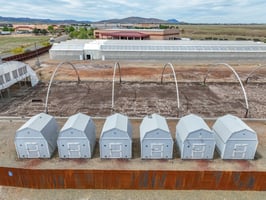 31607808