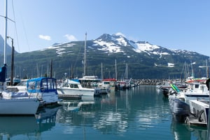 31613367