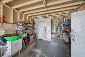 31613469