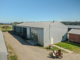 31619341