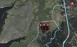 31614301