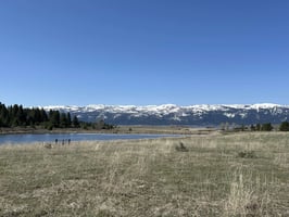 31614298