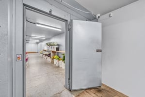 31673823