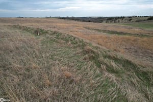 31616405