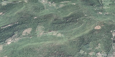 31616678
