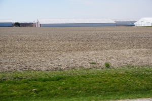 31617555