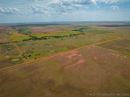 31620248