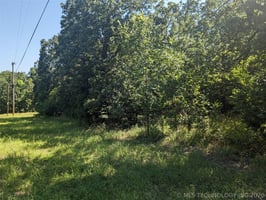 31620467