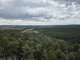 31621818