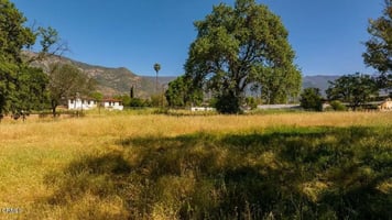31627007
