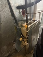 31629241