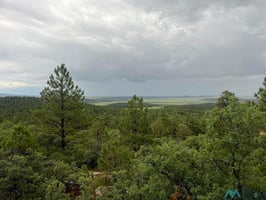 31629332