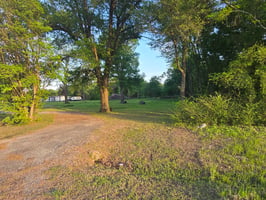 31631688