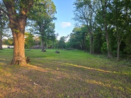 31631687