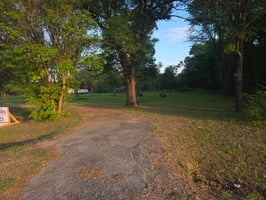 31631684