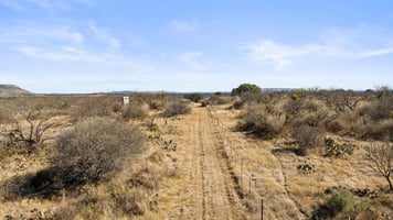 31631788